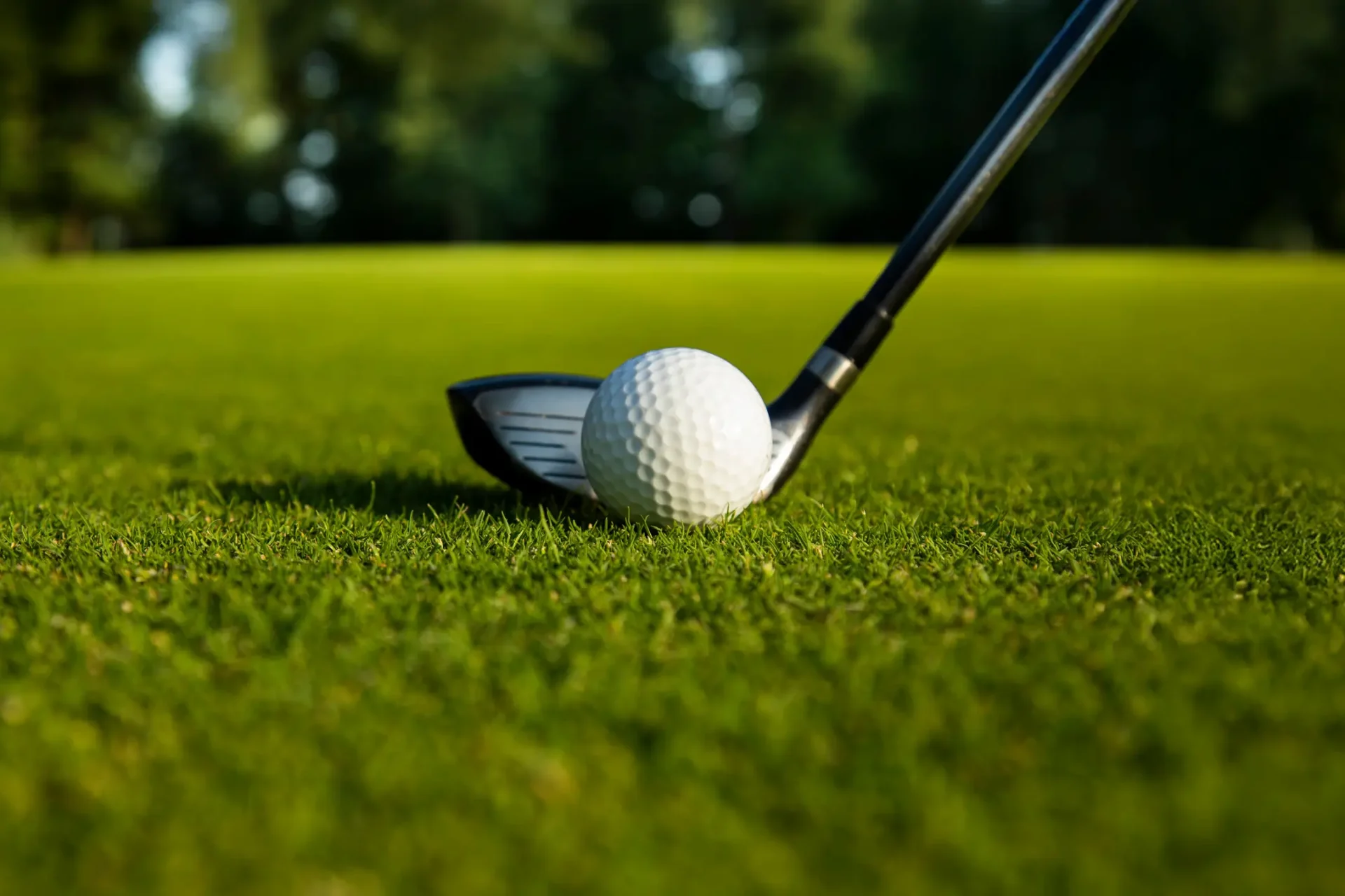Golf-Hintergrund-01
