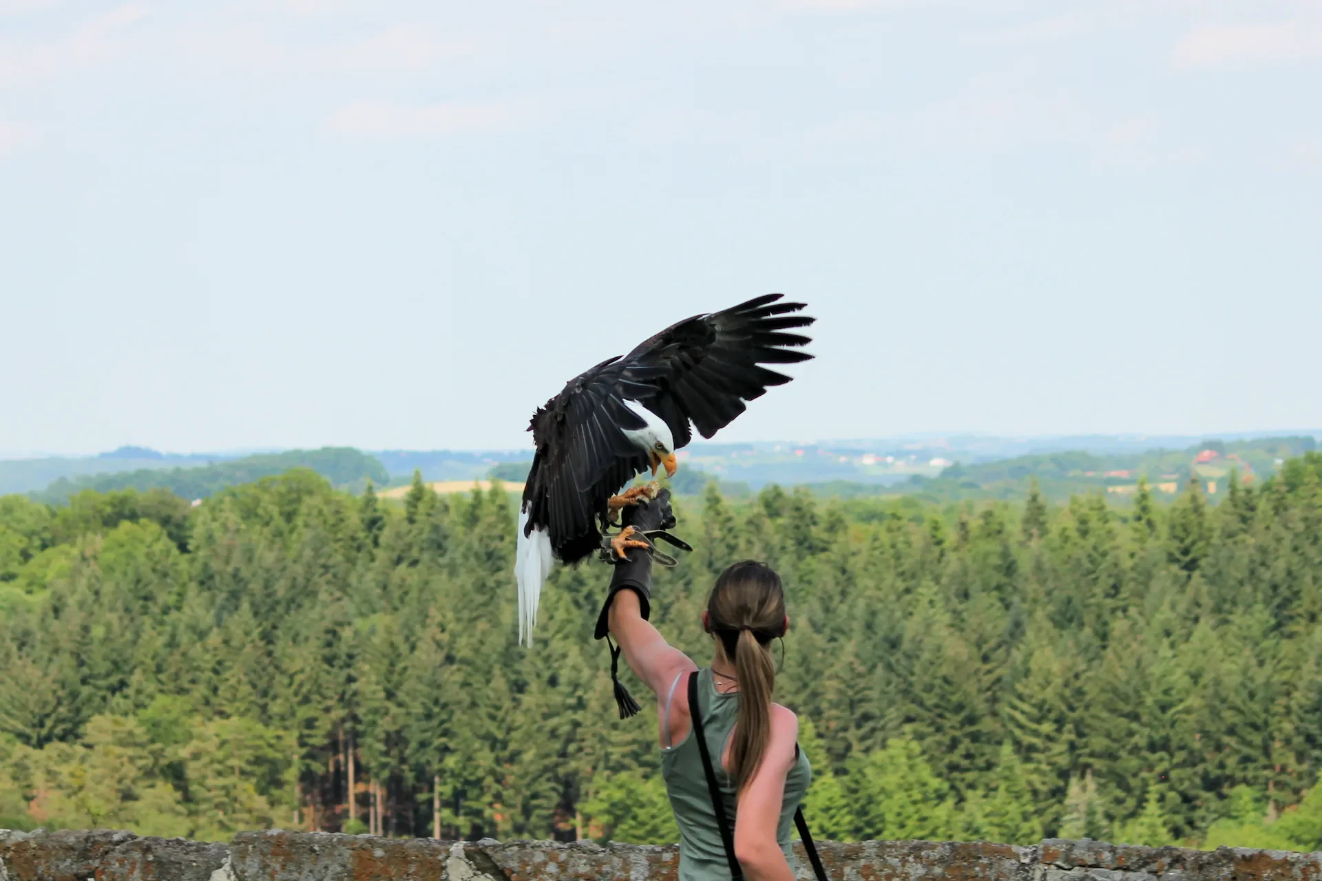 Greifvogelshow-Burg-Riegersburg