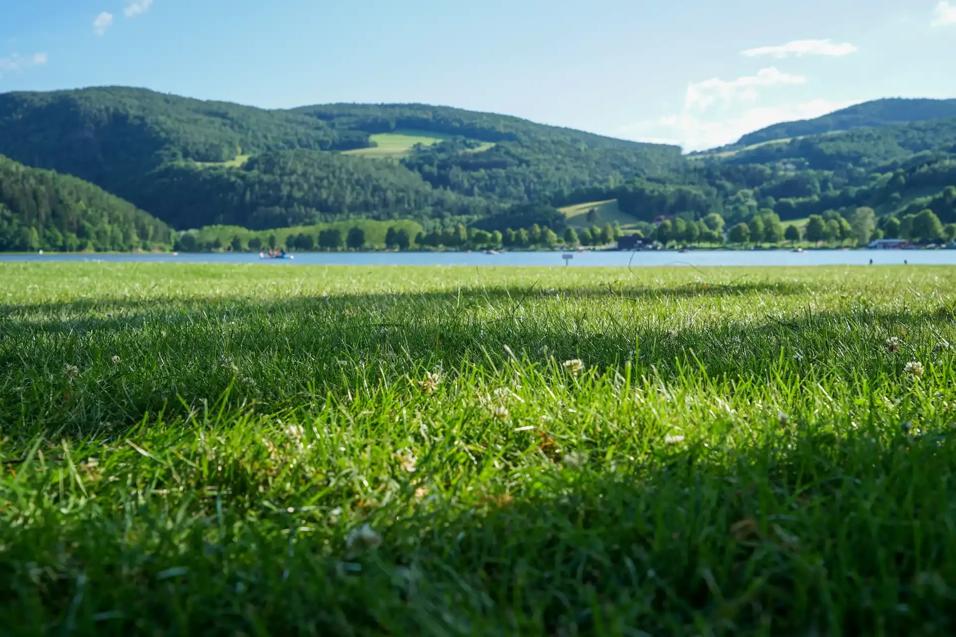 Wunderschoene-Sommerlandschaft-am-oesterreichischen-Stubenbergsee